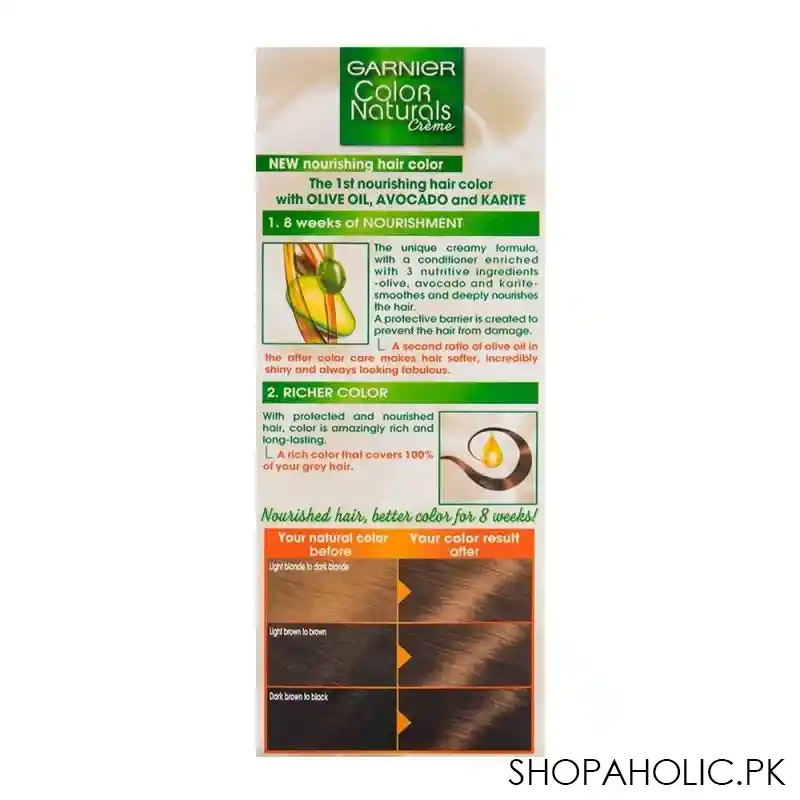 garnier color natural hair color 6.1 image2