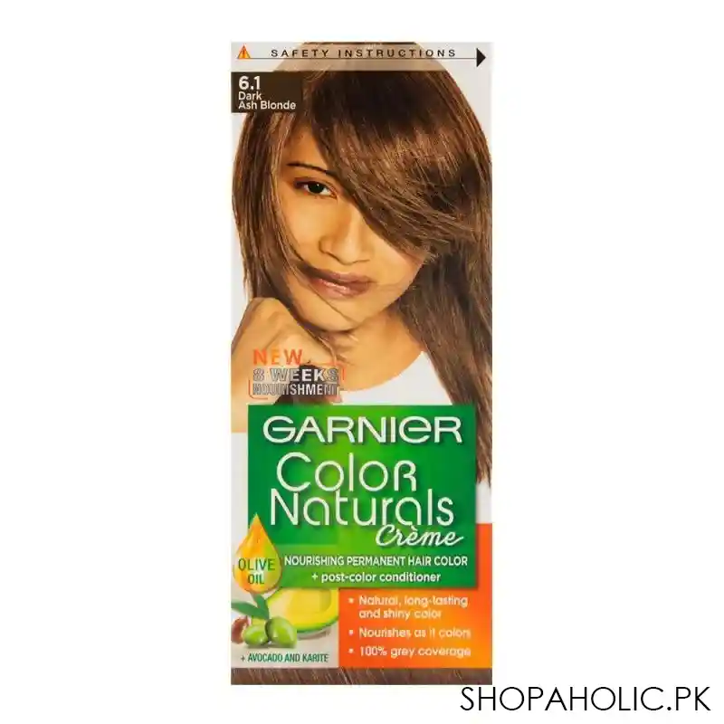 garnier color natural hair color 6.1 main image