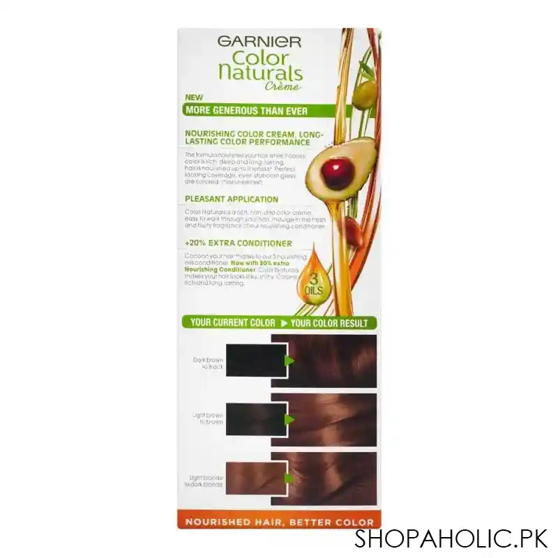 garnier color natural hair color 6.3 image3