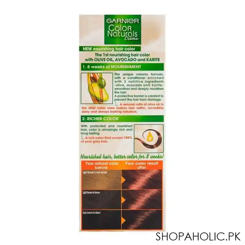 garnier color natural hair color 6.66 image2