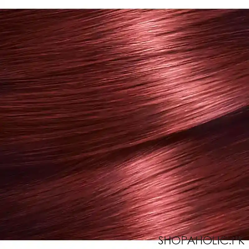 garnier color natural hair color 6.66 image4
