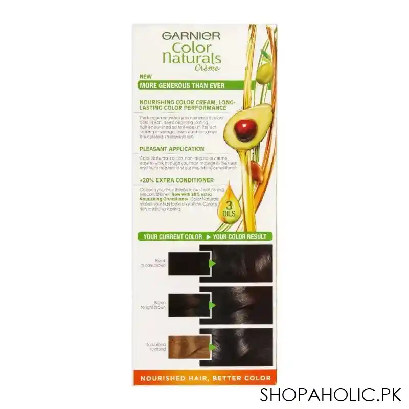 garnier color naturals creme hair colour, 2 soft black image2