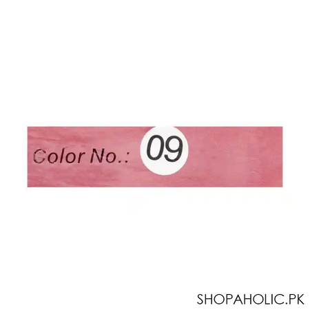 glamorous face professional make up blusher 09, gf7838, 4g image4