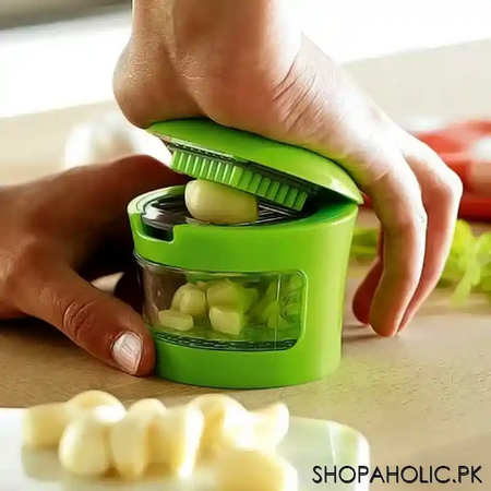 handy mini garlic and ginger chopper slicer main image
