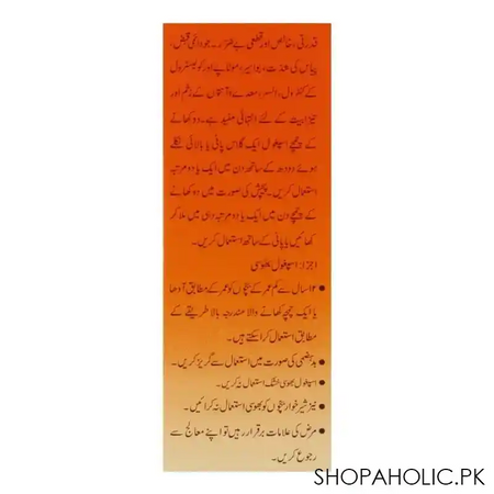 hashmi ispaghol husk, 100g image4