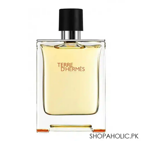 hermes terre d'hermes pure perfume eau de parfum, 75ml main image