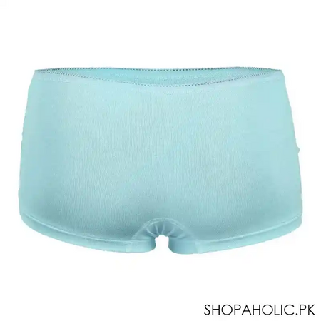 ifg petal's 076 brief, aqua image3