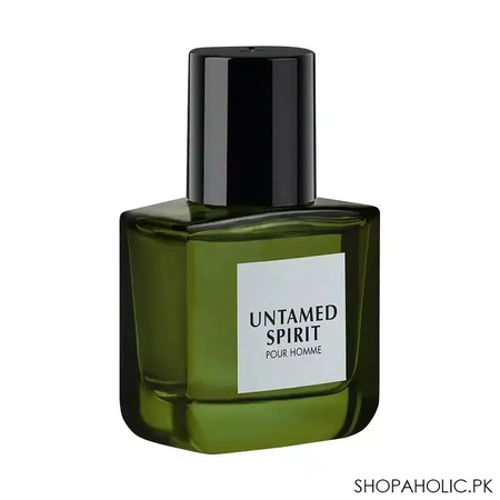 junaid jamshed j. untamed spirit pour homme eau de parfum, for men, 30ml main image