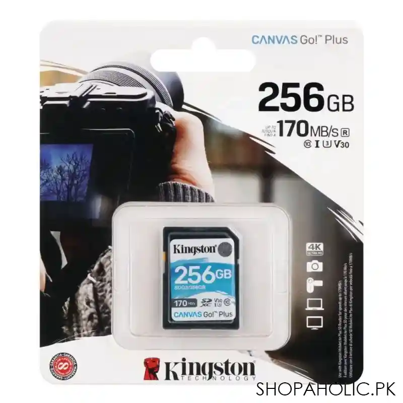 kingston 256gb main image