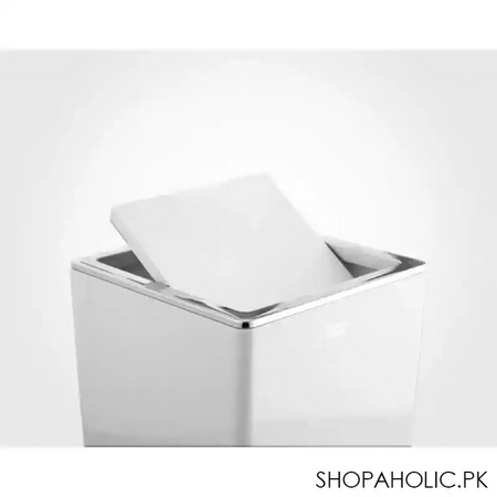 limon dustbin with brush product code: 1810 image3