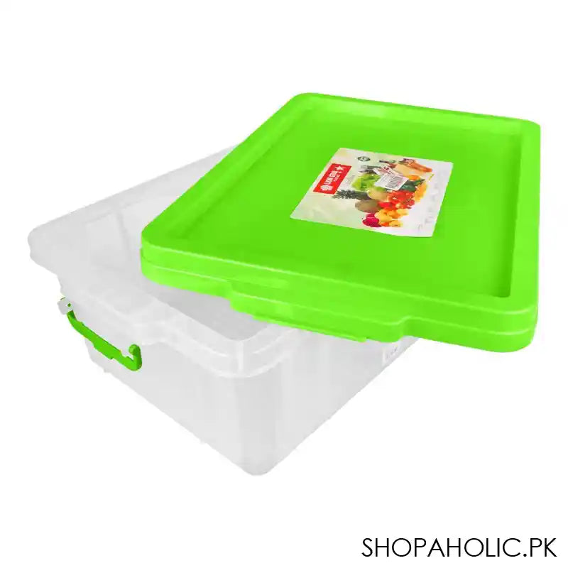 Lion Star Plastic BPA-Free No.30 Clear Box With Chrome Handle, Green, FX-5 - Main Image