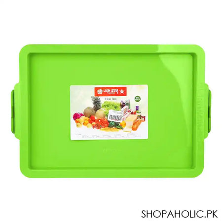 Lion Star Plastic BPA-Free No.30 Clear Box With Chrome Handle, Green, FX-5 - Image 2