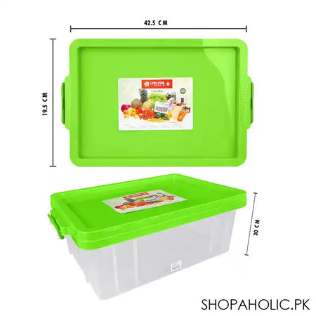Lion Star Plastic BPA-Free No.30 Clear Box With Chrome Handle, Green, FX-5 - Image 3