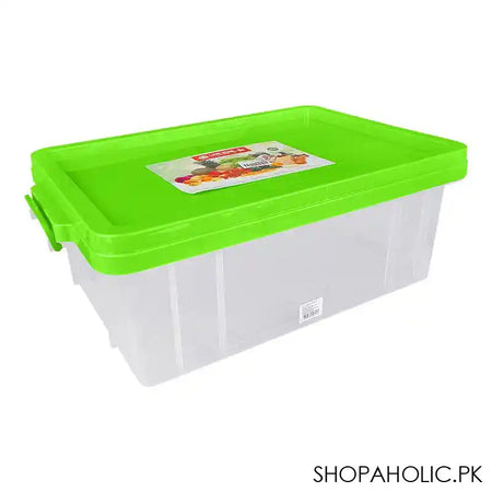 Lion Star Plastic BPA-Free No.30 Clear Box With Chrome Handle, Green, FX-5 - Image 4