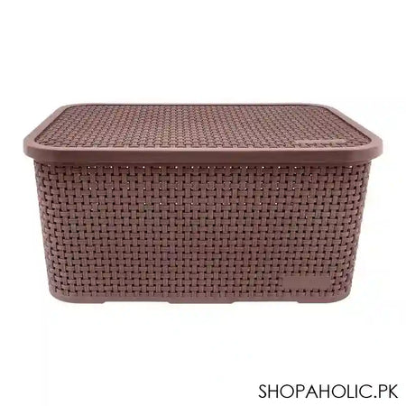 Lion Star Revo Storage Box, Brown, CA-13 - Main Image