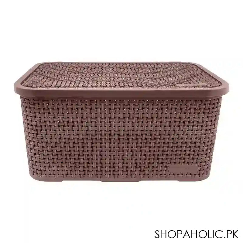 Lion Star Revo Storage Box, Brown, CA-13 - Main Image