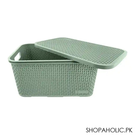 Lion Star Revo Storage Box, Green, CA-13 - Main Image