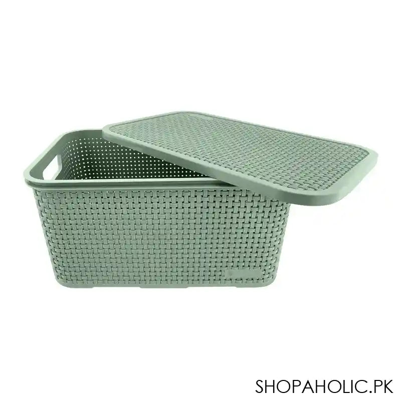 Lion Star Revo Storage Box, Green, CA-13 - Main Image