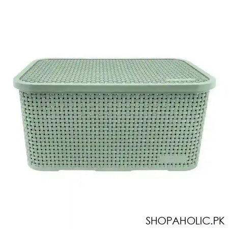 Lion Star Revo Storage Box, Green, CA-13 - Image 3