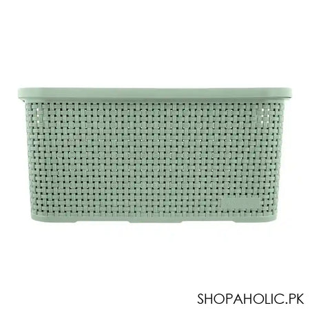 Lion Star Revo Storage Box, Green, CA-13 - Image 4
