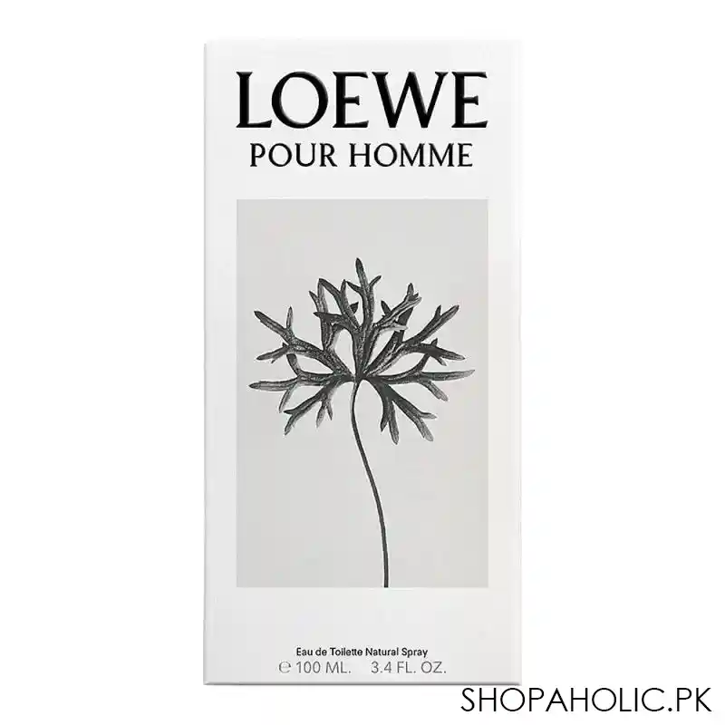 loewe pour homme eau de toilette, for men, 100ml image2