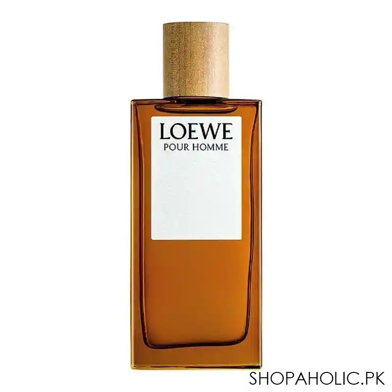 loewe pour homme eau de toilette, for men, 100ml main image