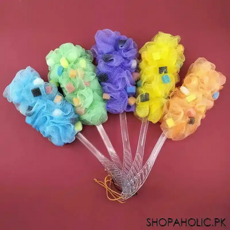 loofah with long acrylic handle main image