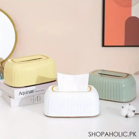modern style tissue box image2