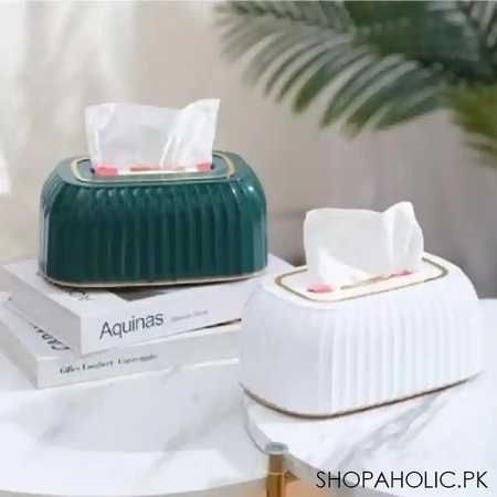modern style tissue box image4