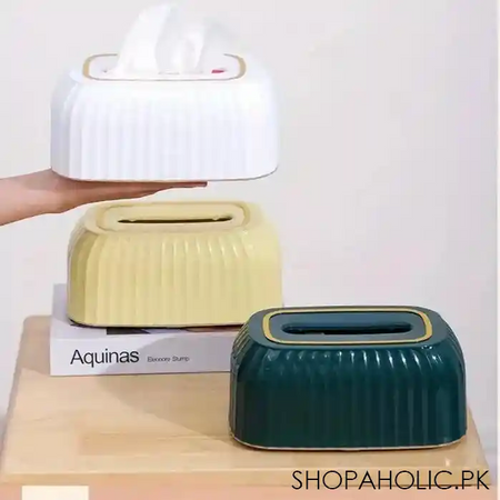 modern style tissue box image5