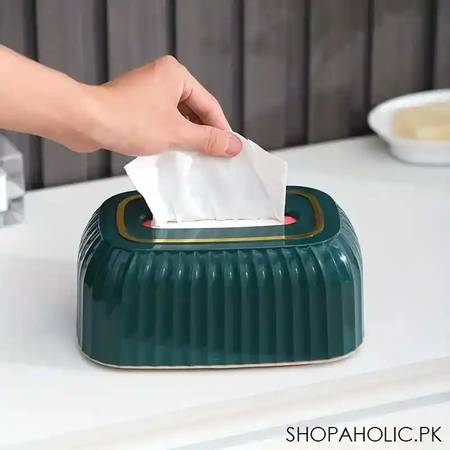 modern style tissue box main image