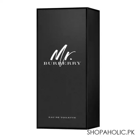 mr. burberry eau de toilette, fragrance for men, 100ml image2