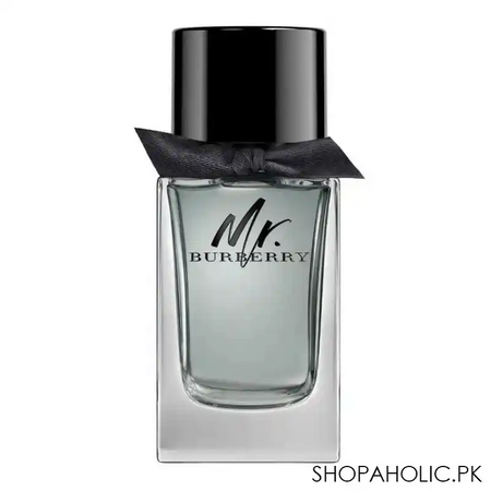 mr. burberry eau de toilette, fragrance for men, 100ml main image