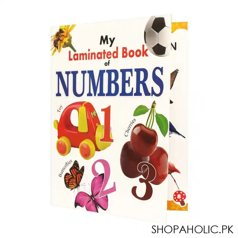 My Laminated Book Of Numbers - Main Image