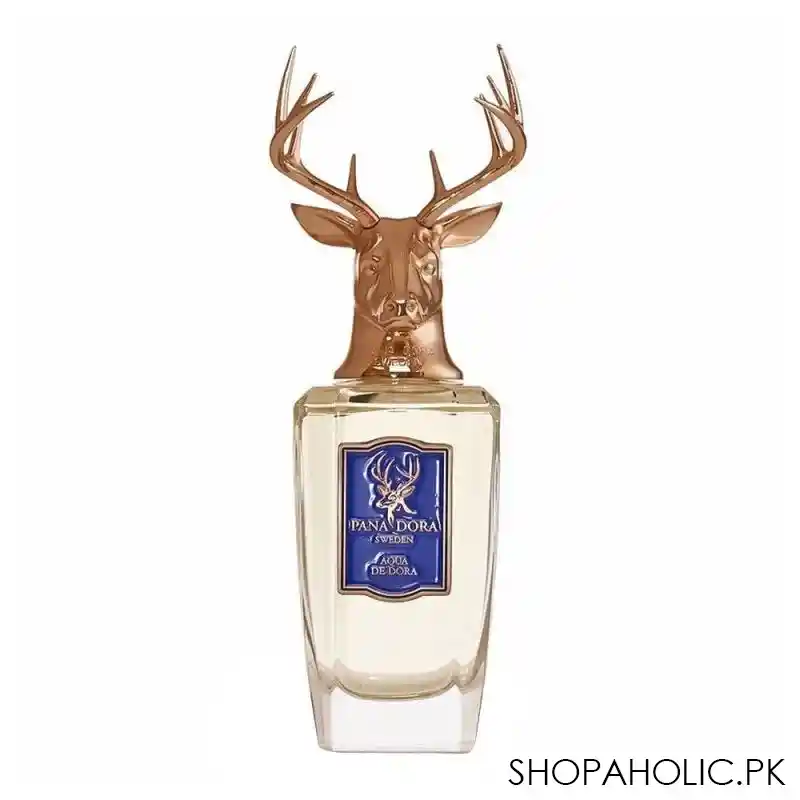 pana dora sweden aqua de dora eau de parfum for men, 100ml main image