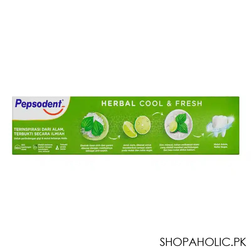 Pepsodent Complete 8 Action Herbal Toothpaste, 120g - Image 3