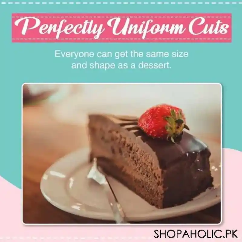 perfect cake slicer and server image5