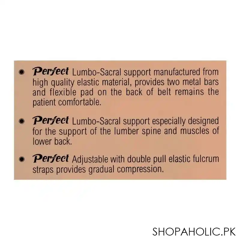 perfect lumbo sacral support, xxl image4