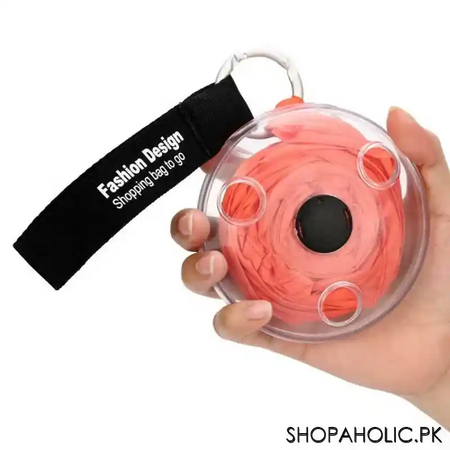 portable shopping bag to rollup image4