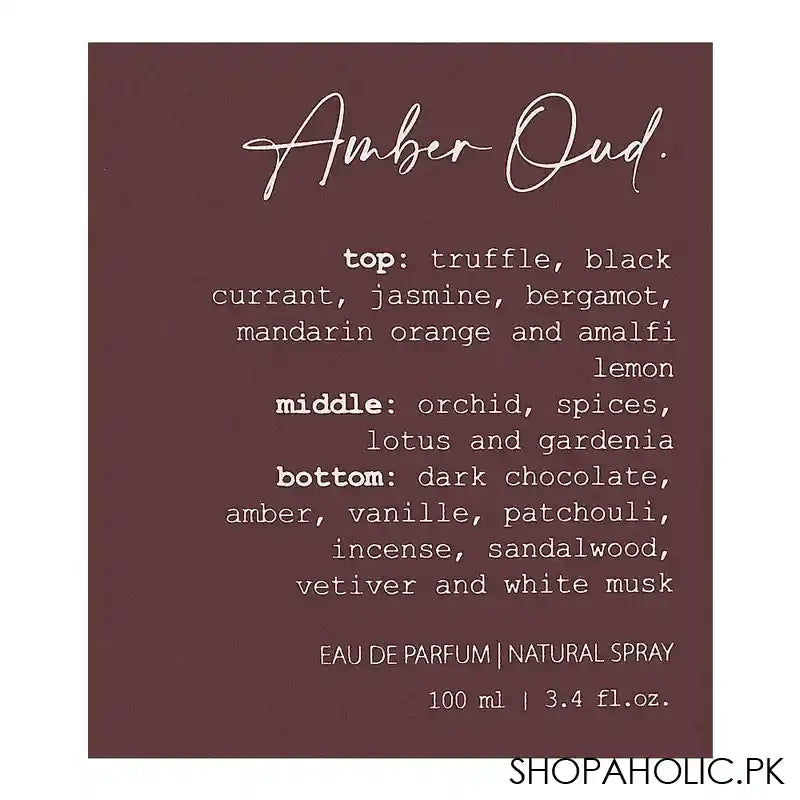 Potion Amber Oud Eau De Parfum, For Women, 100ml - Image 2