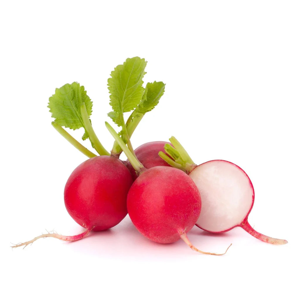 Red Radish (Mooli)