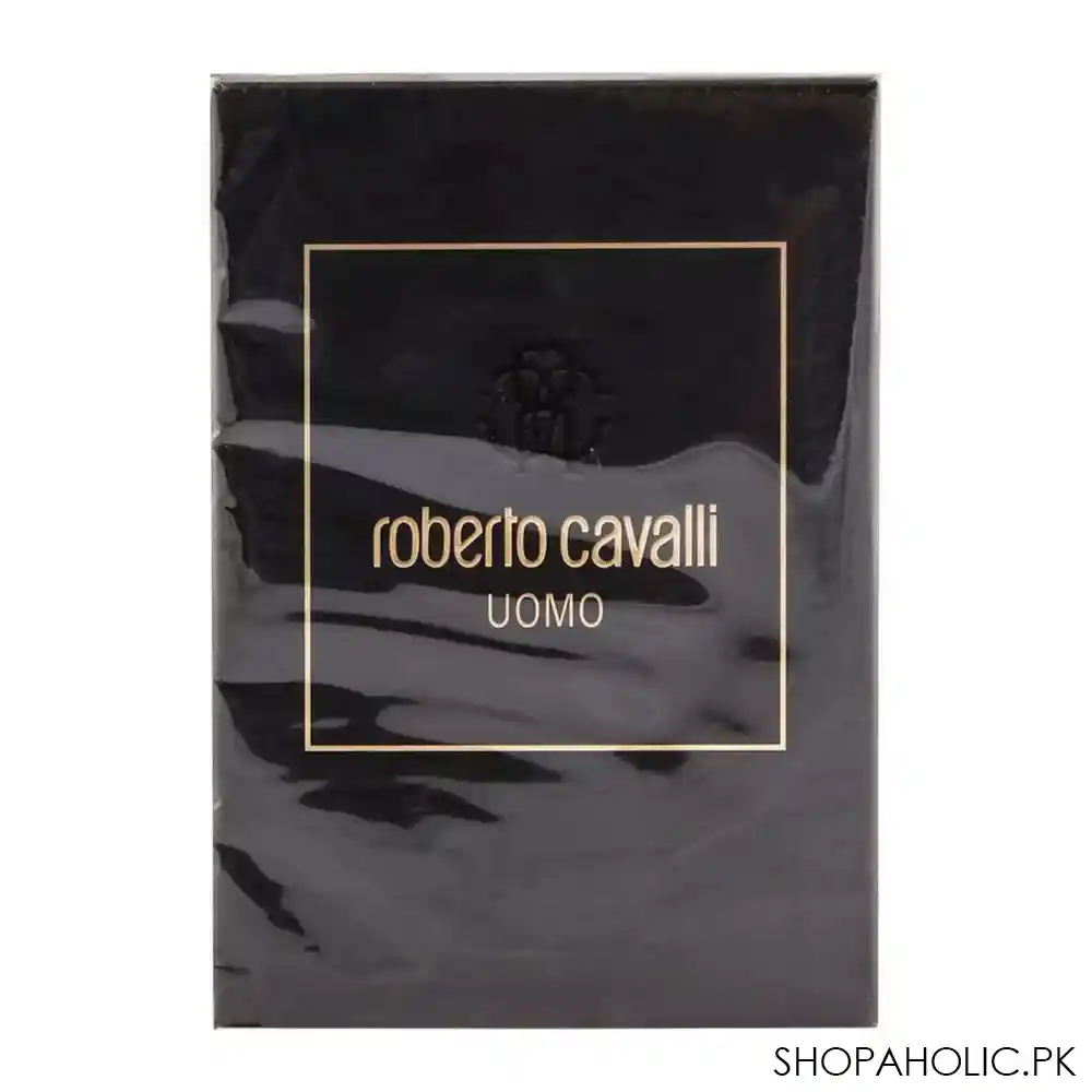 roberto cavalli uomo eau de toilette 100ml image2