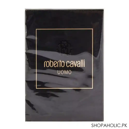 roberto cavalli uomo eau de toilette 100ml image2