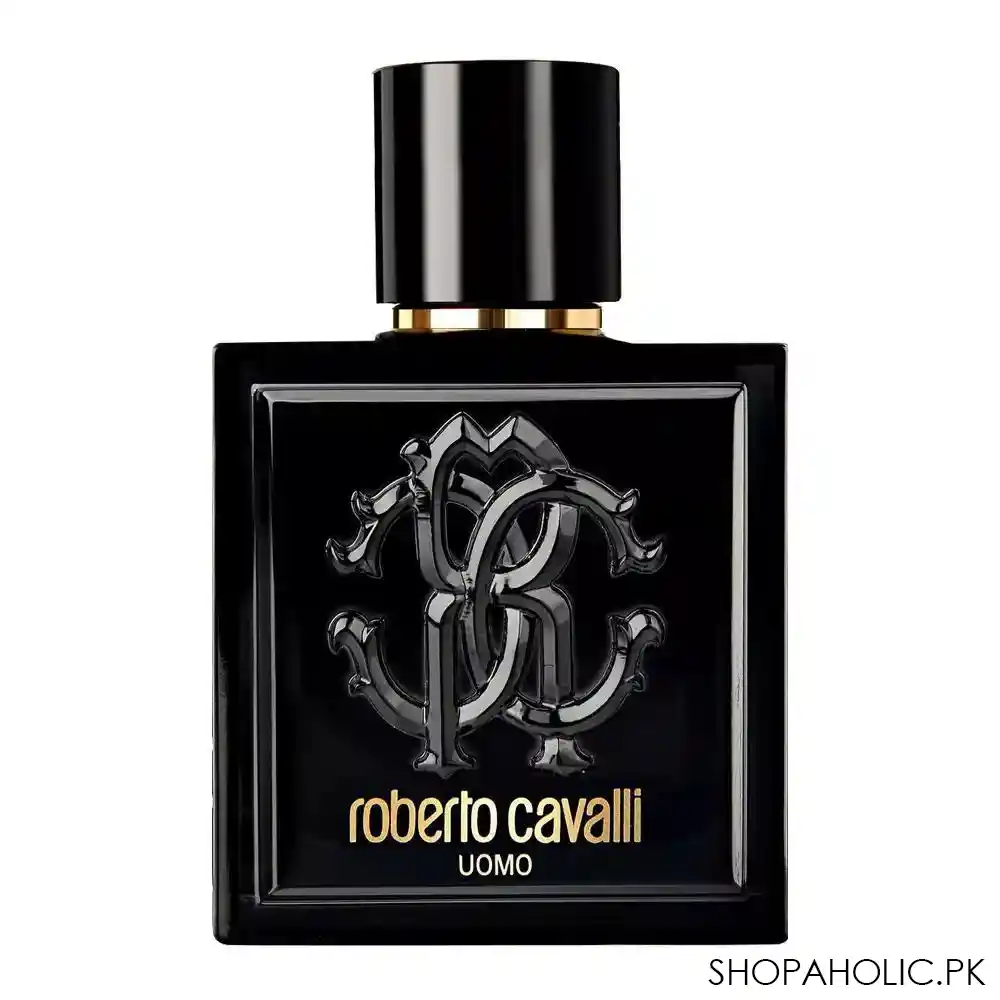 roberto cavalli uomo eau de toilette 100ml main image