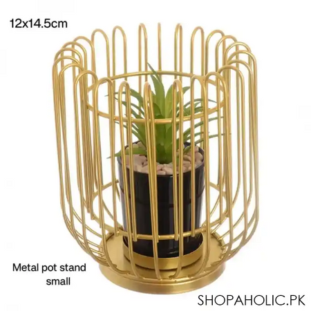 royal cage metal pot image2