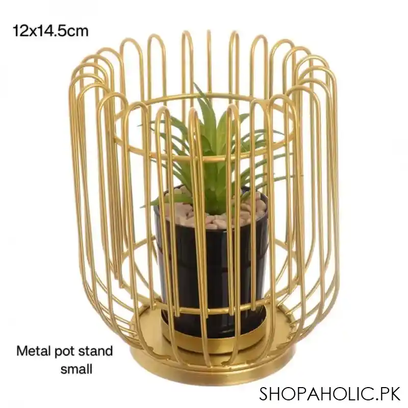 royal cage metal pot image2