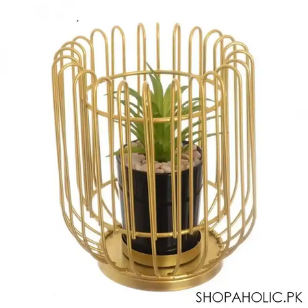 royal cage metal pot main image