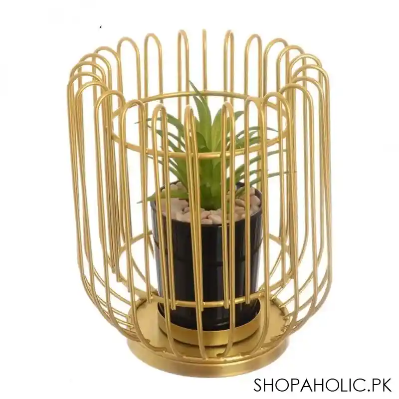 royal cage metal pot main image