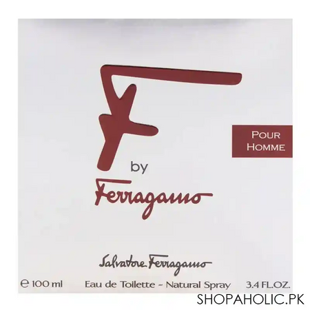 salvatore ferragamo f by ferragamo pour homme eau de toilette 100ml image2