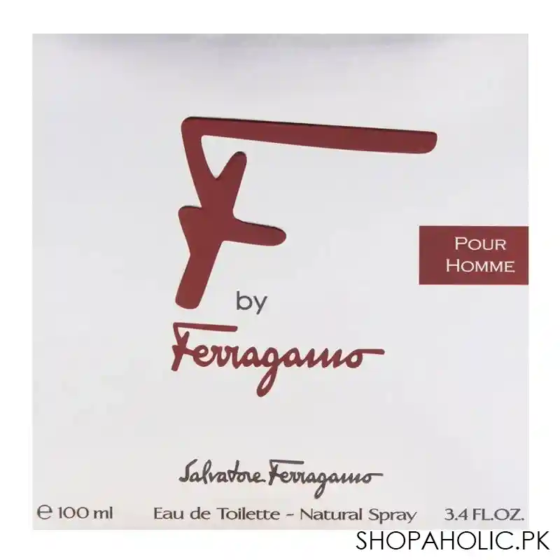salvatore ferragamo f by ferragamo pour homme eau de toilette 100ml image2